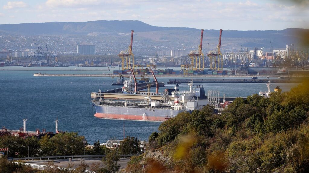 Loopholes in ship flagging system undermine sanctions on Russia Loopholes in ship flagging system undermine sanctions on Russia