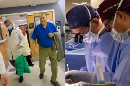 New Hampshire patient resumes dialysis after 271 days living with pig kidney